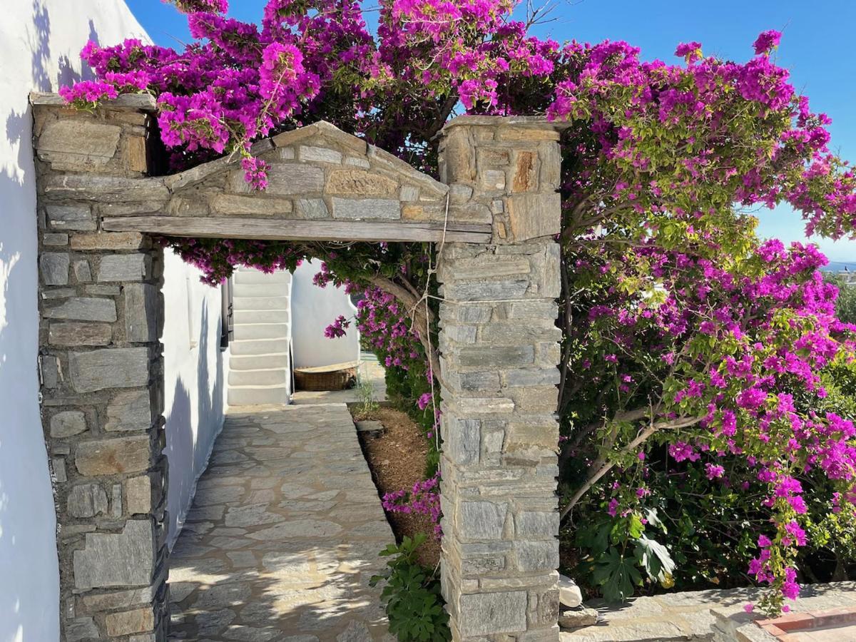 Villa Zeus - Parikia - Paros - Grece Krotiri Ngoại thất bức ảnh